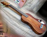 espace lutherie guitares de laguitare.com