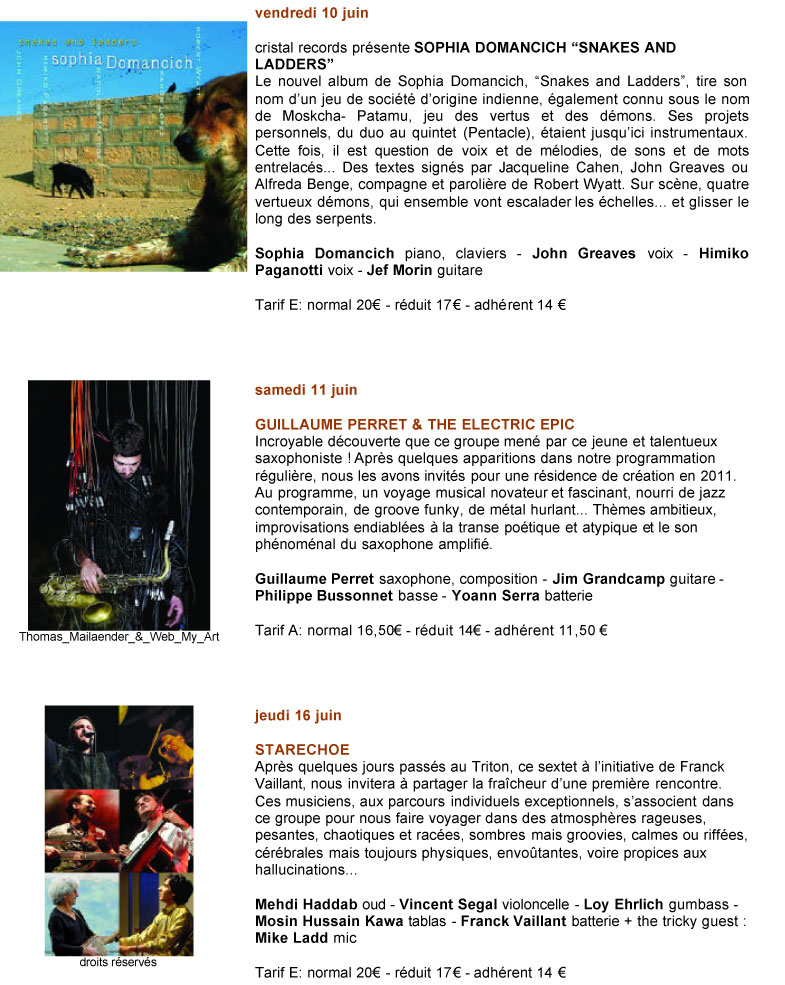 Concert du Triton - guitare