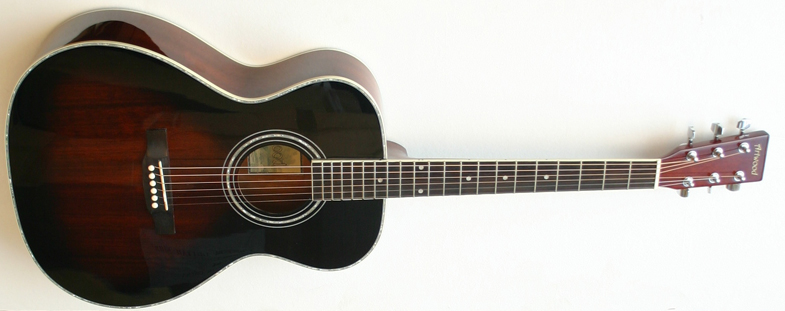 Guitares Artwood - Custom Guitar Shop - laguitare.com