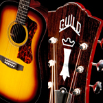Matériel et accessoires laguitare.com : Guild - D50 Bluegrass Special