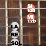 apprendre guitare : Jean-Pierre Poulin - Les Guitares Microtonales avec laguitare.com