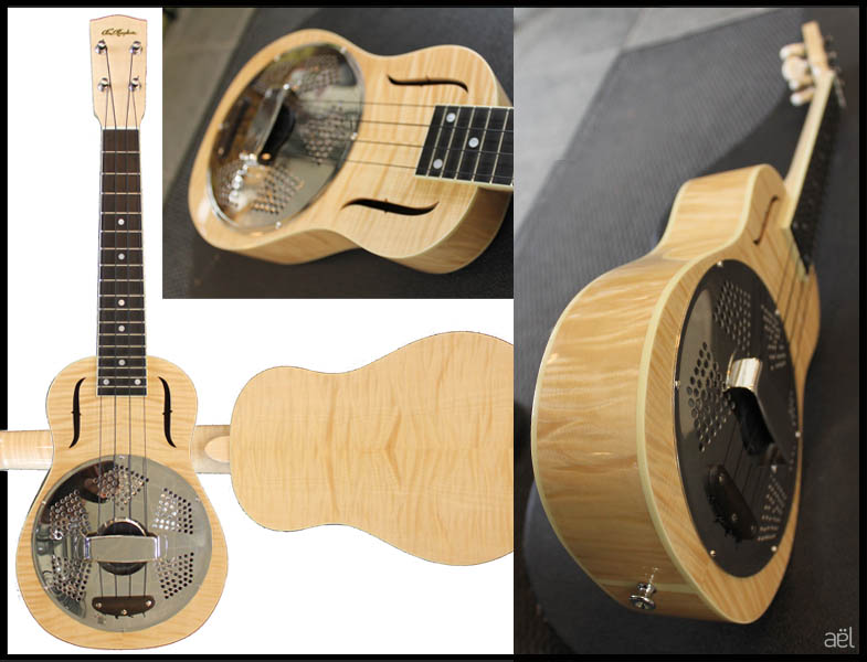 Guitare - FINE RESOPHONIC - mike lewis - Festival guitare issoudun 2010 - laguitare.com