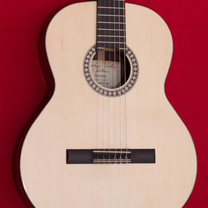 Matriel et accessoires laguitare.com : Kremona - Romida RD-S