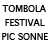 luthiers guitares et basses : Festival Pic Sonne  - Tombola, gagnez une guitare de luthier