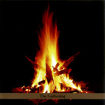 Albums CD DVD Disques guitariste : Rashanim - The Gathering avec laguitare.com