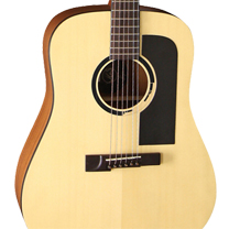 Matriel et accessoires laguitare.com : VGS - Bayou B10