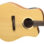 Matriel et accessoires laguitare.com : VGS - Grand Bayou GB-12 CE