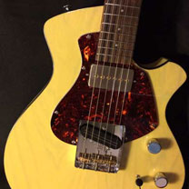 luthiers guitares et basses : David Hoogeboom  - Electrique HTL1 - Issoudun 2016