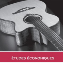 luthiers guitares et basses : ETUDE ECONOMIQUE  - La facture instrumentale en Pays de la Loire