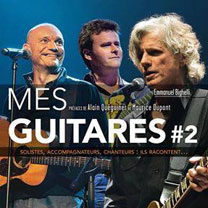 Matériel et accessoires laguitare.com : Emmanuel Bighelli - Mes Guitares Volume II
