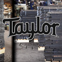 Matériel et accessoires laguitare.com : Taylor - Exploiter l ébène durablement